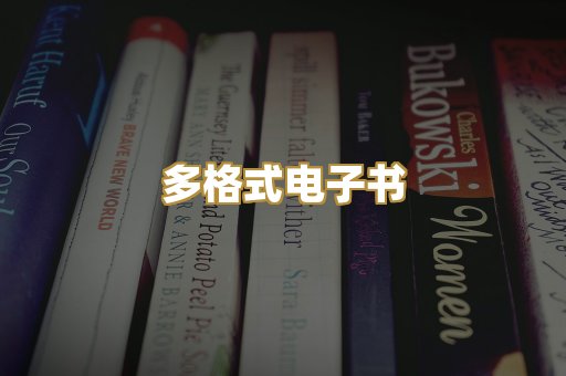 多格式电子书